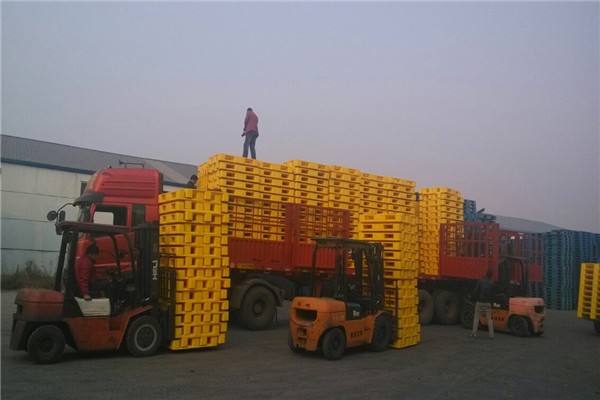 叉車搬運塑料托盤